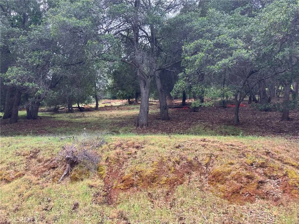 Kelseyville, CA 95451,3153 Southlake