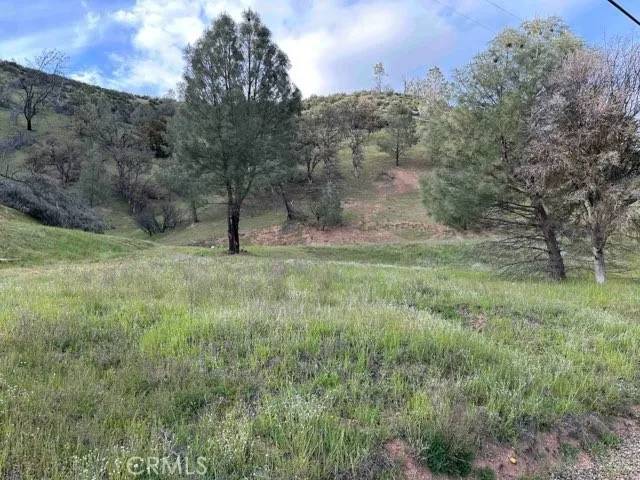 Clearlake Oaks, CA 95423,1982 New Long Valley