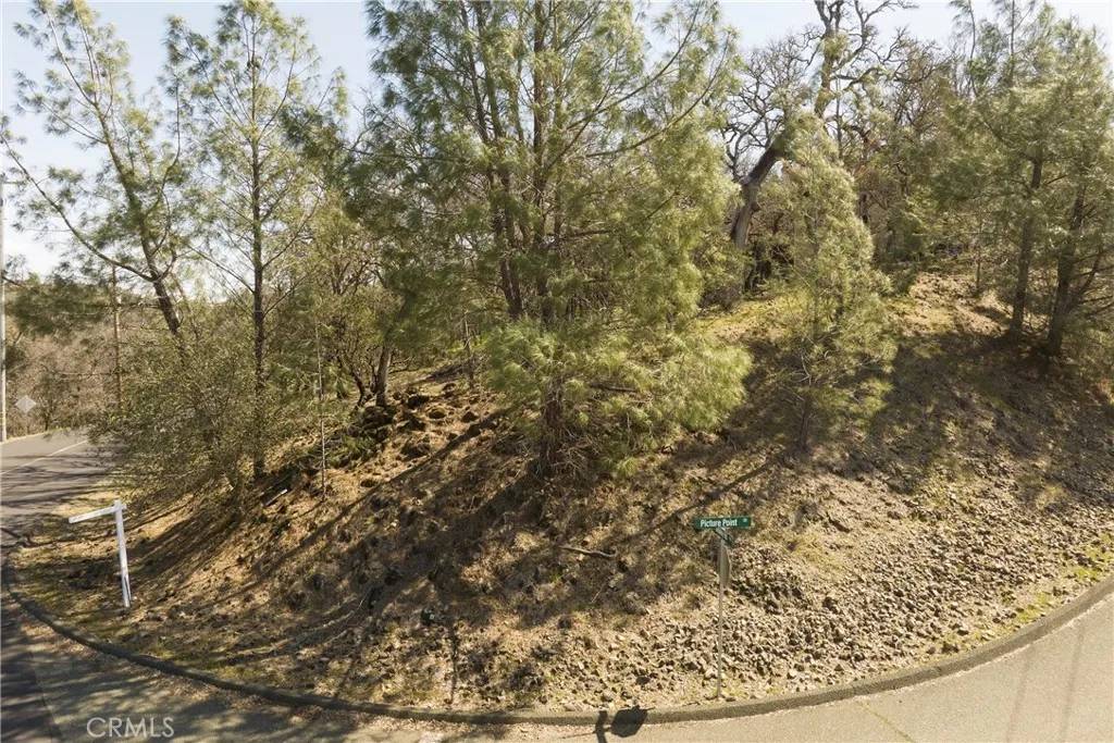 Hidden Valley Lake, CA 95467,19404 Picture Point