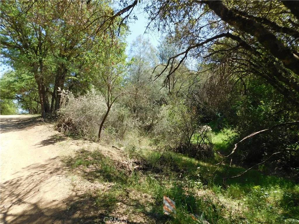 Clearlake, CA 95422,15773 39th