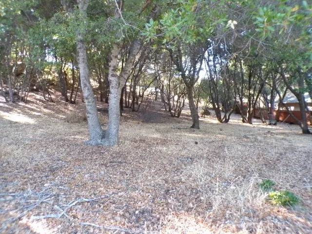 Kelseyville, CA 95451,10743 Boren Bega