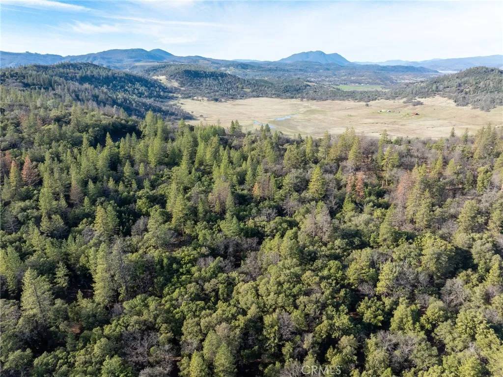 Lower Lake, CA 95457,18407 Ponderosa