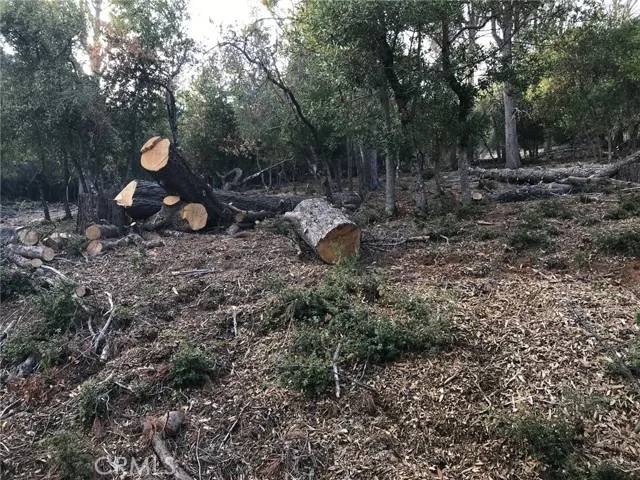 Kelseyville, CA 95451,3607 Pine Terrace