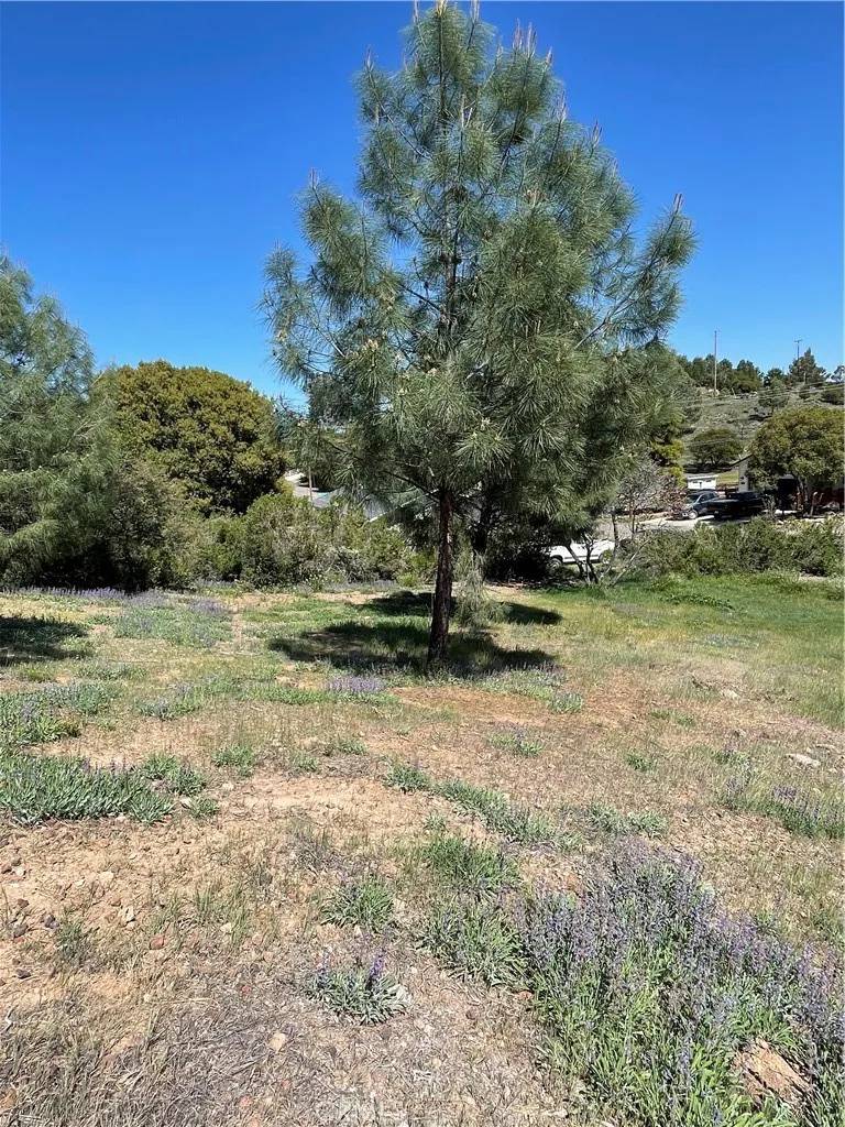 Kelseyville, CA 95451,5005 Schooner