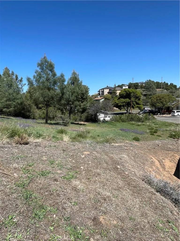 Kelseyville, CA 95451,5005 Schooner