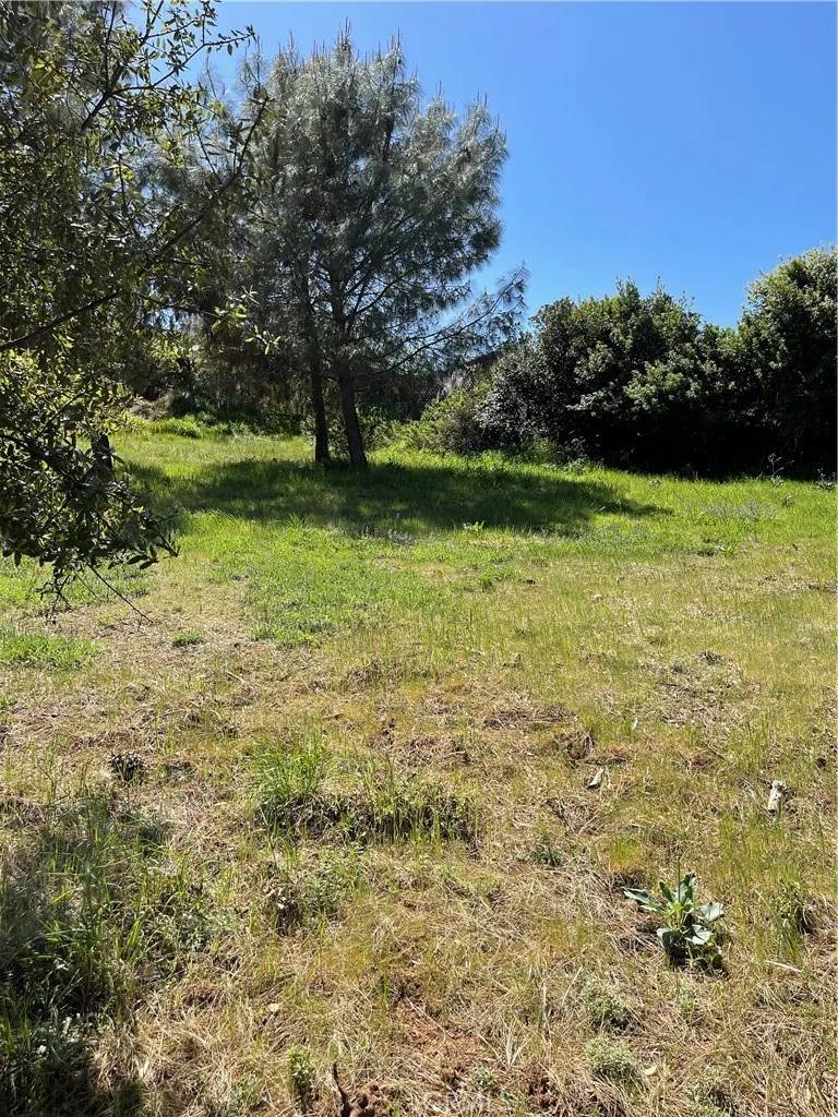 Kelseyville, CA 95451,10715 Point Lakeview