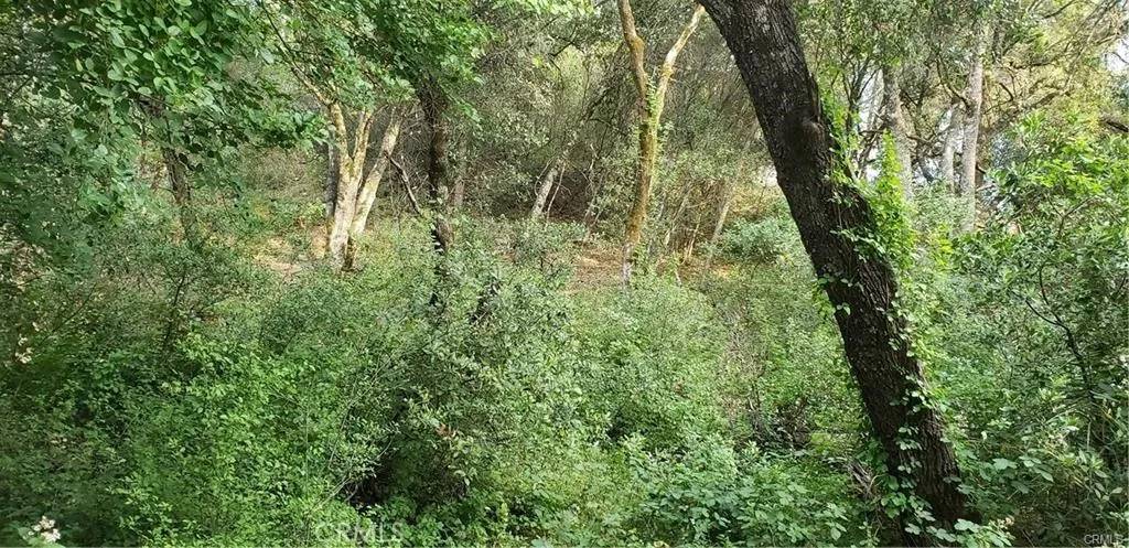 Nice, CA 95464,7248 High