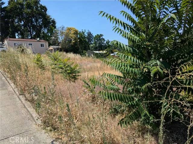 Lakeport, CA 95453,455 N Forbes