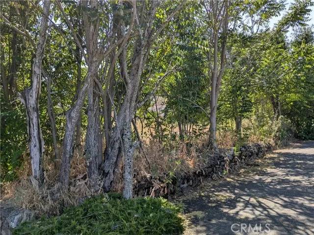 Lakeport, CA 95453,220 4th