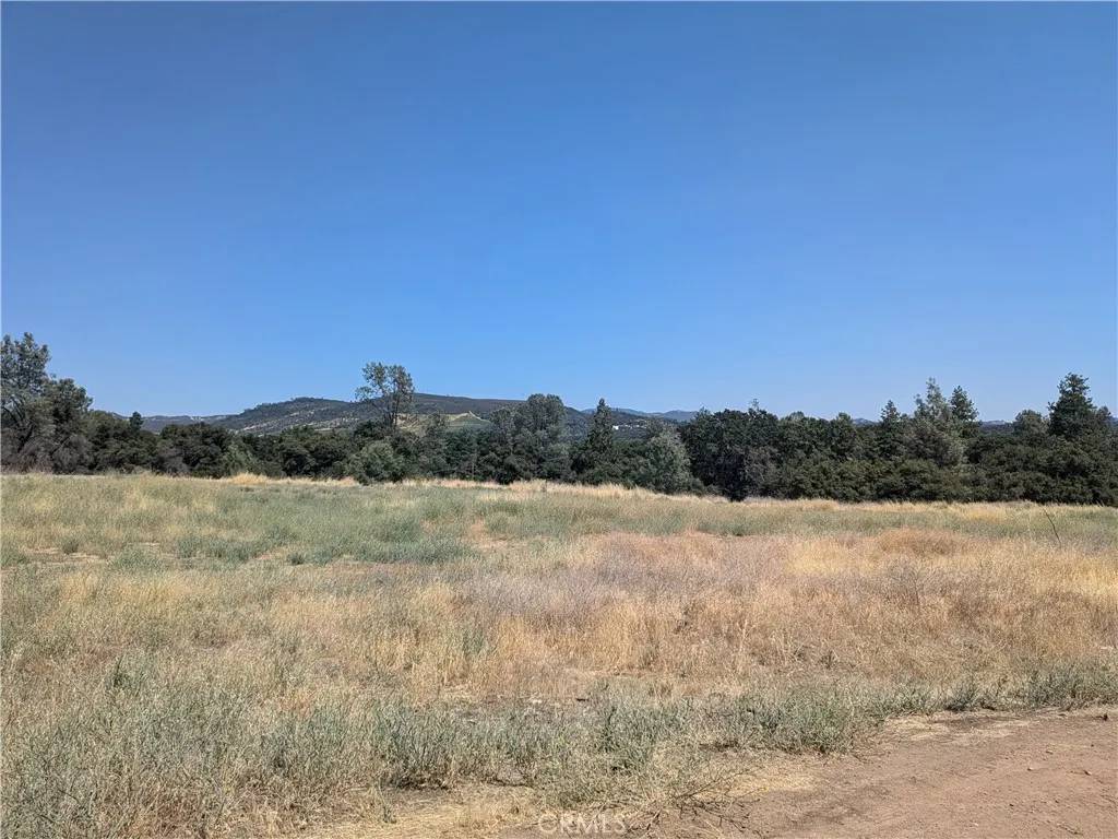 Clearlake, CA 95422,3569 Kakul