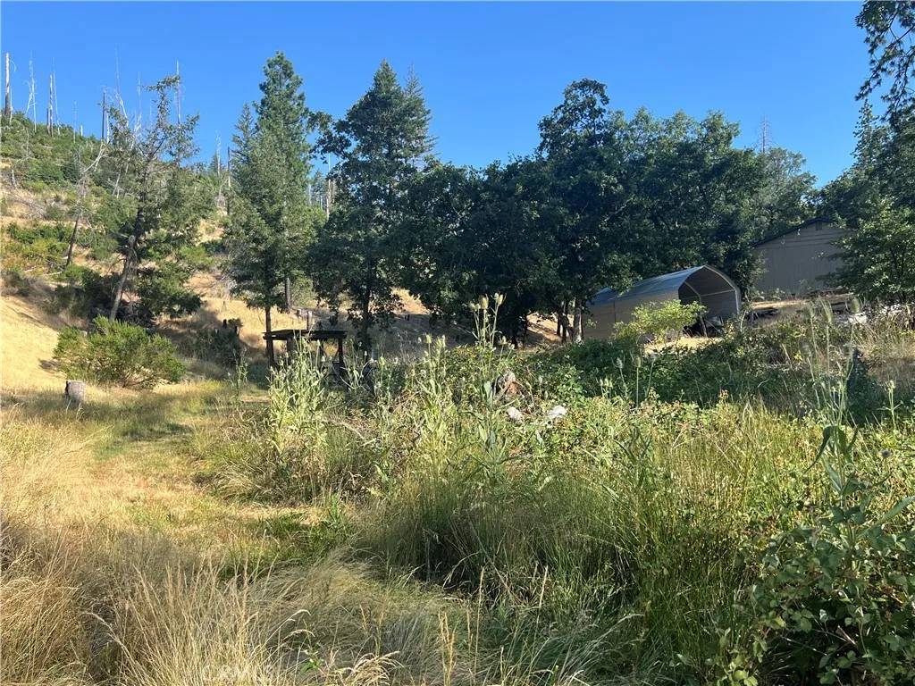 Cobb, CA 95426,14533 Snead
