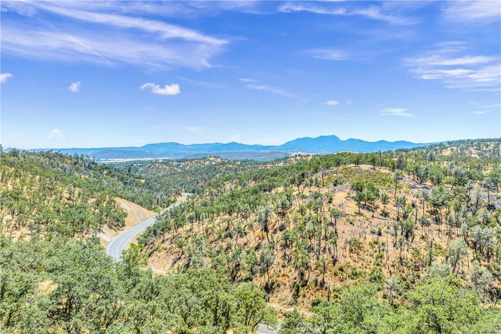 Lower Lake, CA 95457,17063 Hofacker