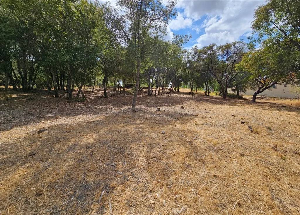 Kelseyville, CA 95451,9599 Timberline