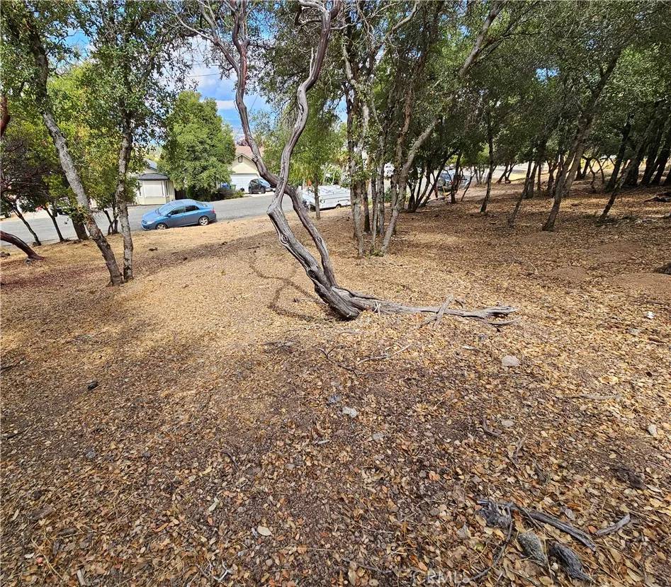 Kelseyville, CA 95451,9599 Timberline