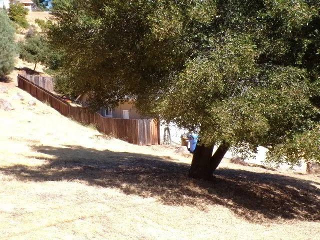 Kelseyville, CA 95451,10822 Harbor