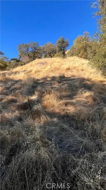 Nice, CA 95464,3943 Lakeview