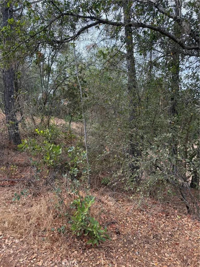 Clearlake, CA 95422,3475 Garfield