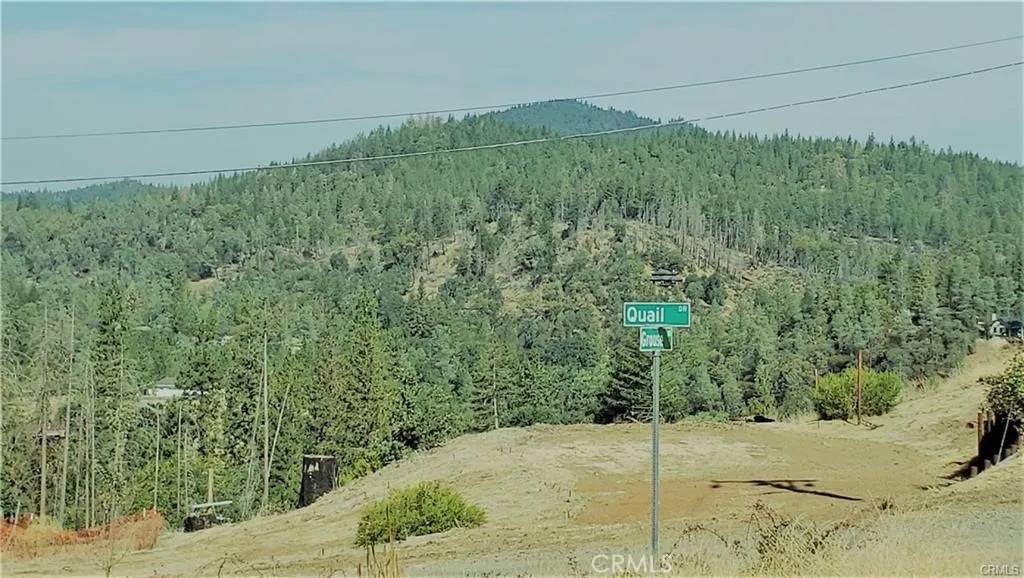 Cobb, CA 95426,14765 Grouse