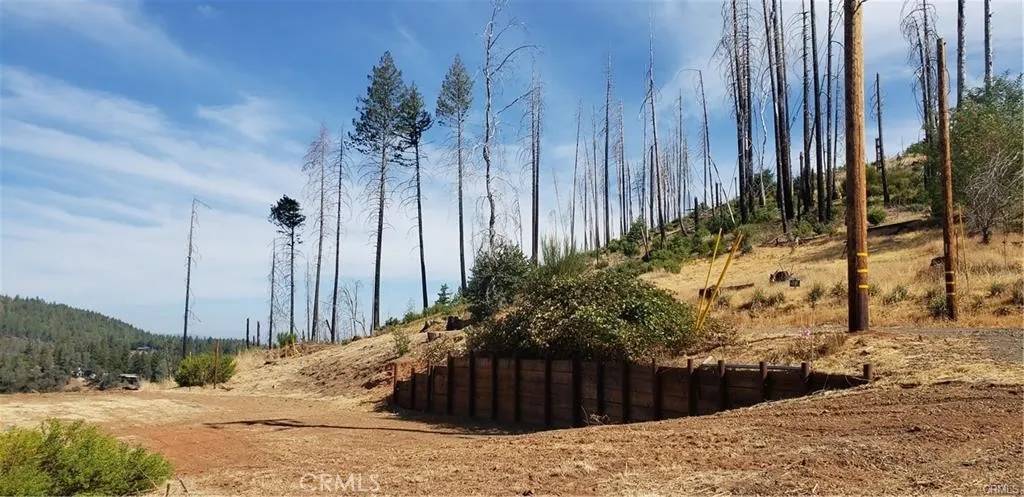 Cobb, CA 95426,14765 Grouse