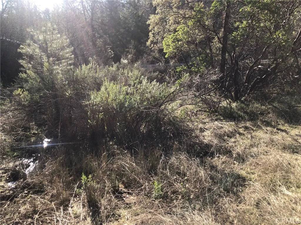 Loch Lomond, CA 95461,9660 Harrington Flat