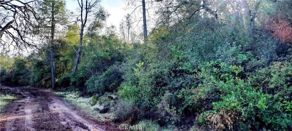 Lower Lake, CA 95457,15151 Gray Pine