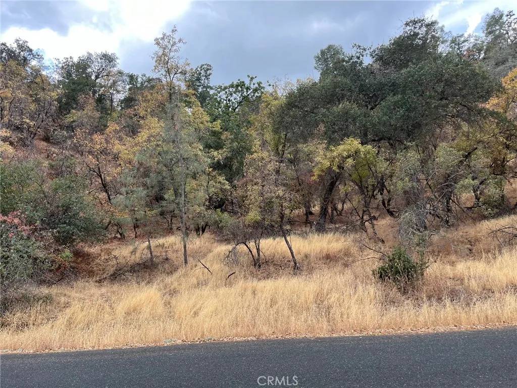 Clearlake, CA 95422,11285 North
