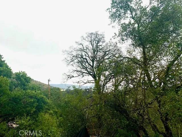 Nice, CA 95464,3010 California