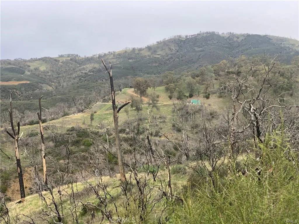 Lower Lake, CA 95457,10885 Sky High Ridge