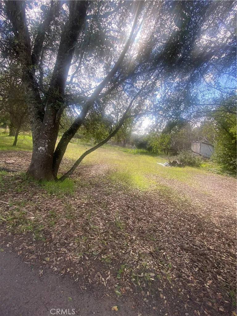 Nice, CA 95464,7005 Marin