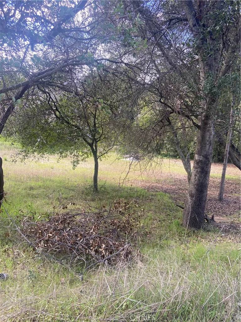 Nice, CA 95464,7005 Marin