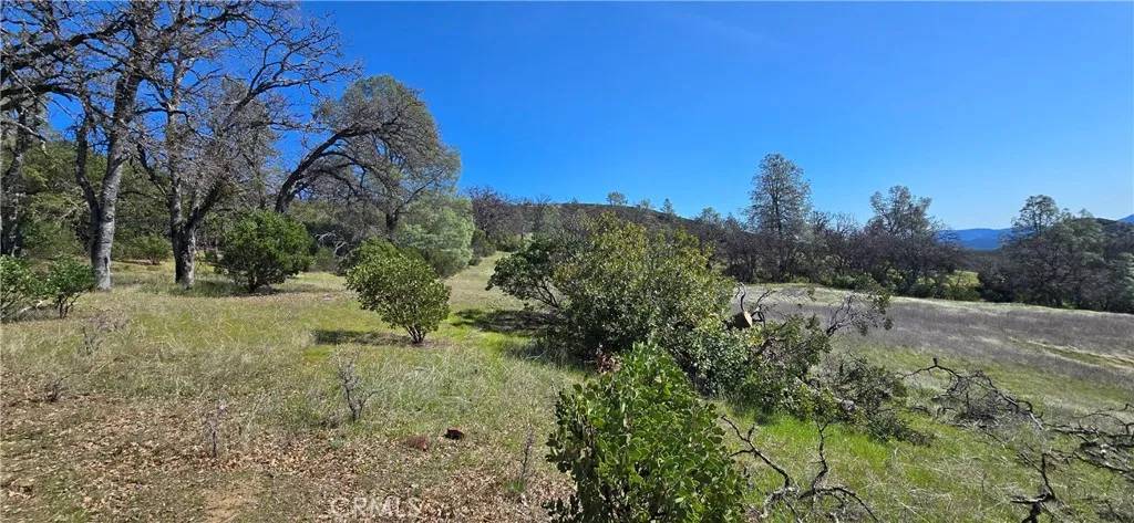 Clearlake Oaks, CA 95423,21762 Ramrod