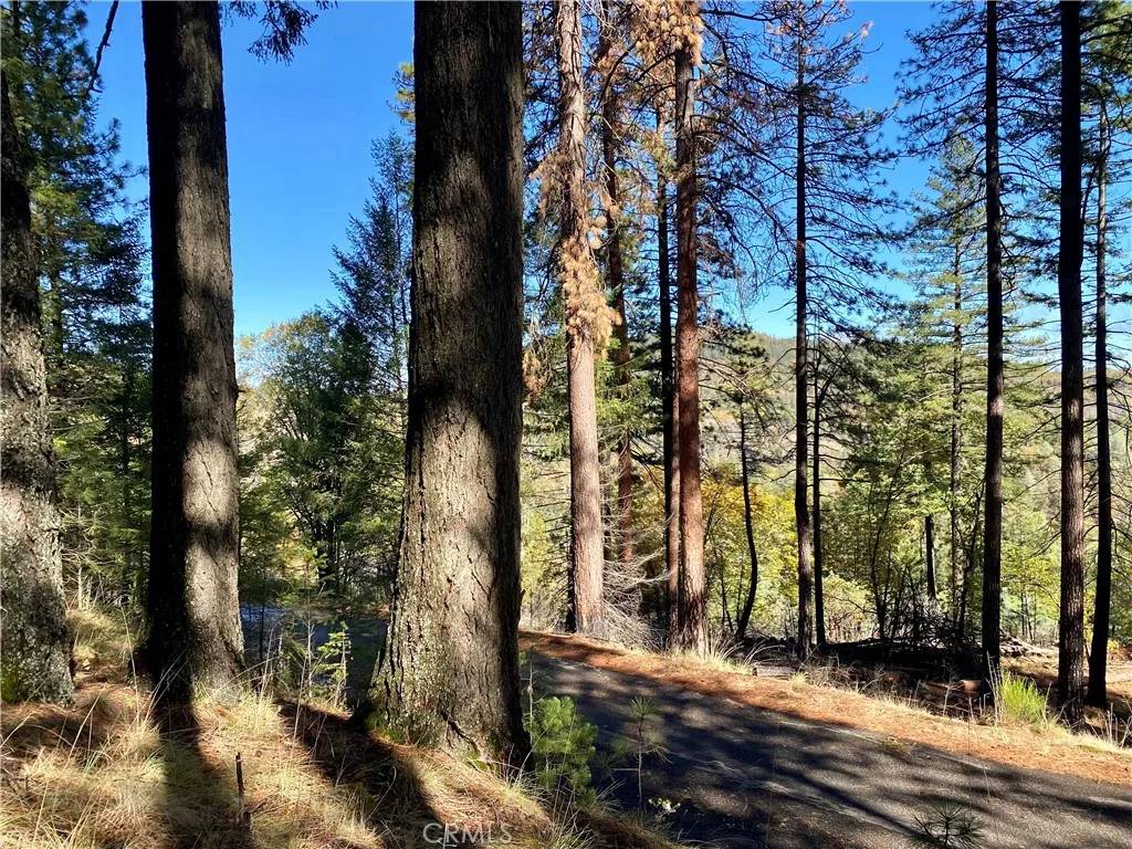 Cobb, CA 95426,9689 Elliott