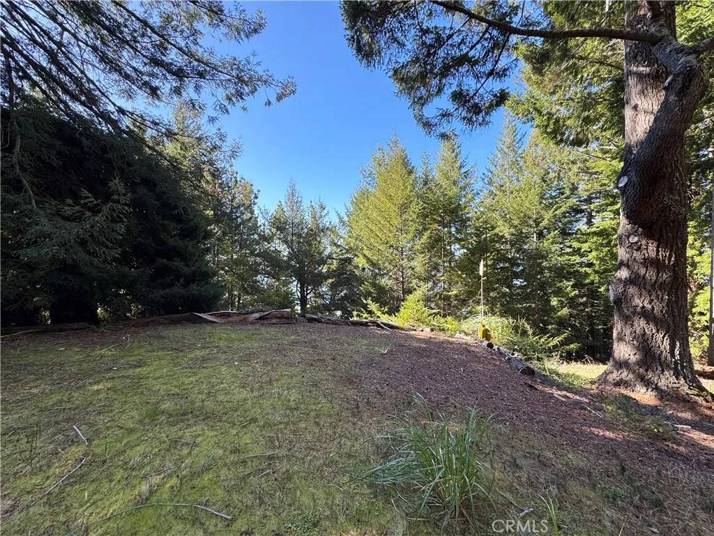 Westport, CA 95488,24250 Pacific Heights Drive