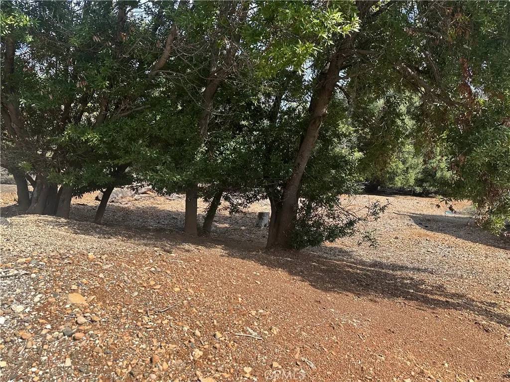 Kelseyville, CA 95451,8146 Broadview
