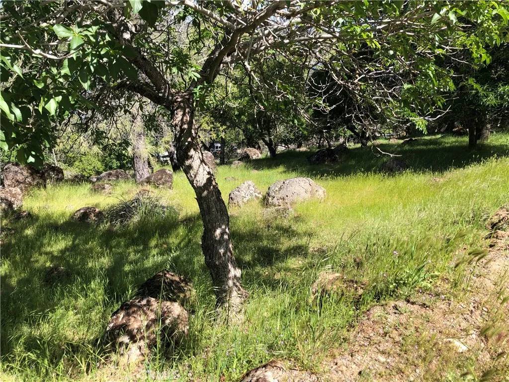 Lower Lake, CA 95457,13616 Anderson