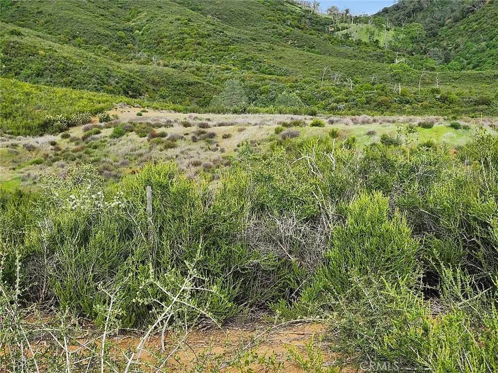 Lower Lake, CA 95457,10480 Sky High Ridge