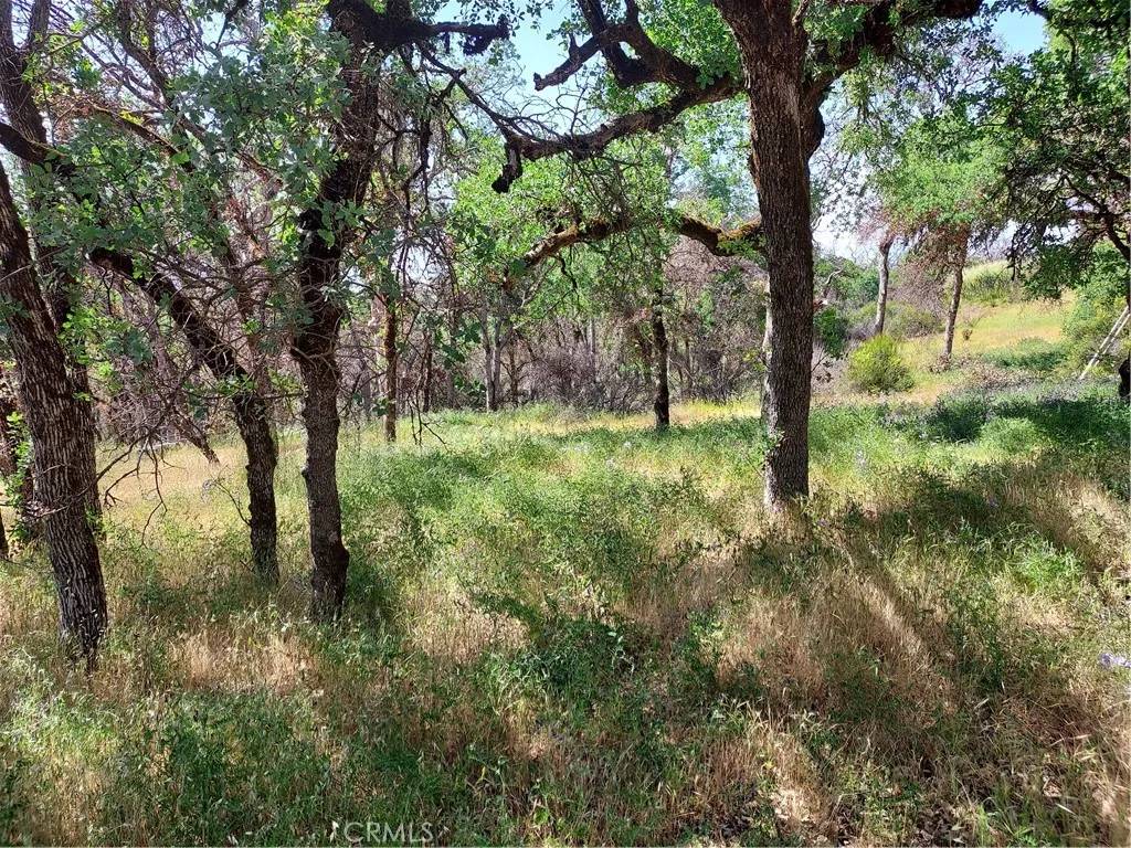Clearlake, CA 95422,16113 13th