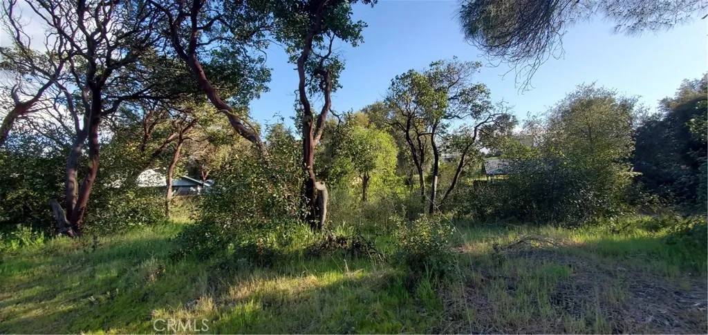 Clearlake, CA 95422,13577 Sonoma