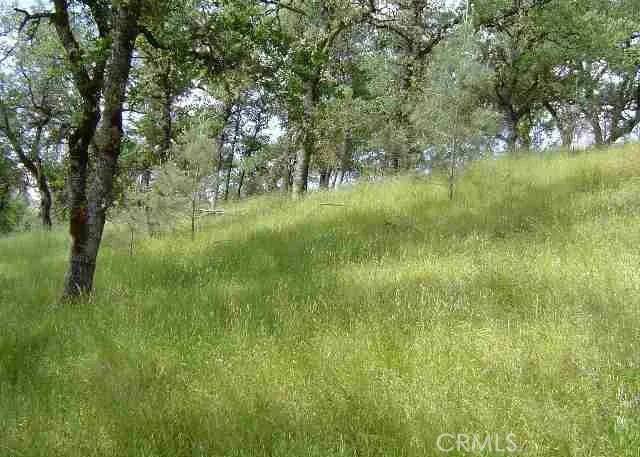 Clearlake Oaks, CA 95423,15709 Cache Creek