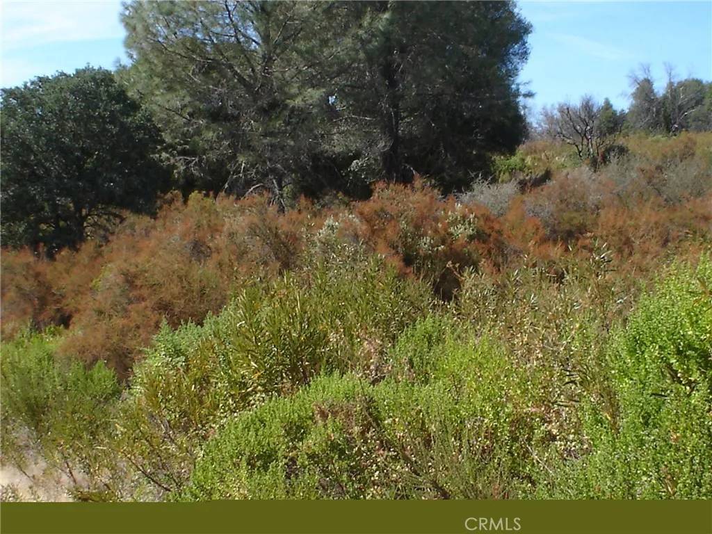 Clearlake, CA 95422,16344 4th