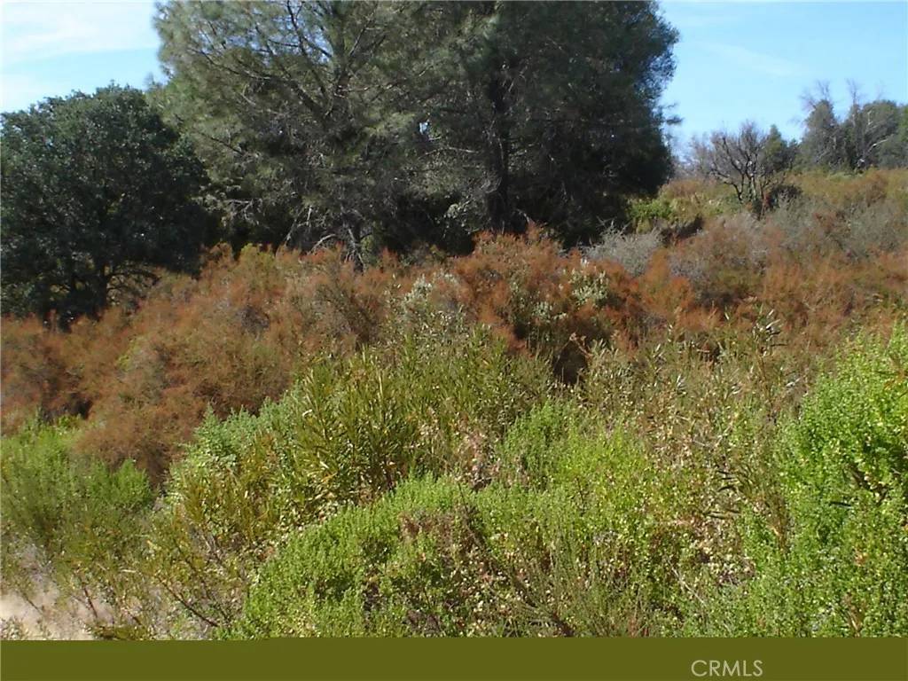 Clearlake, CA 95422,16344 4th