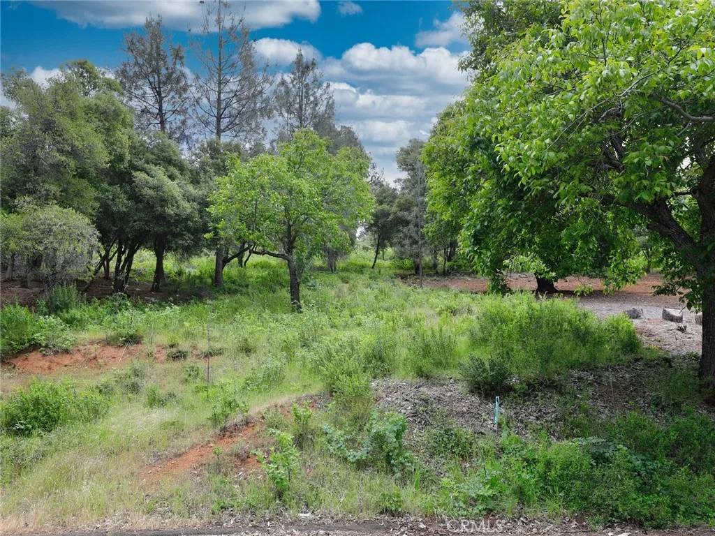 Kelseyville, CA 95451,3218 Skyline