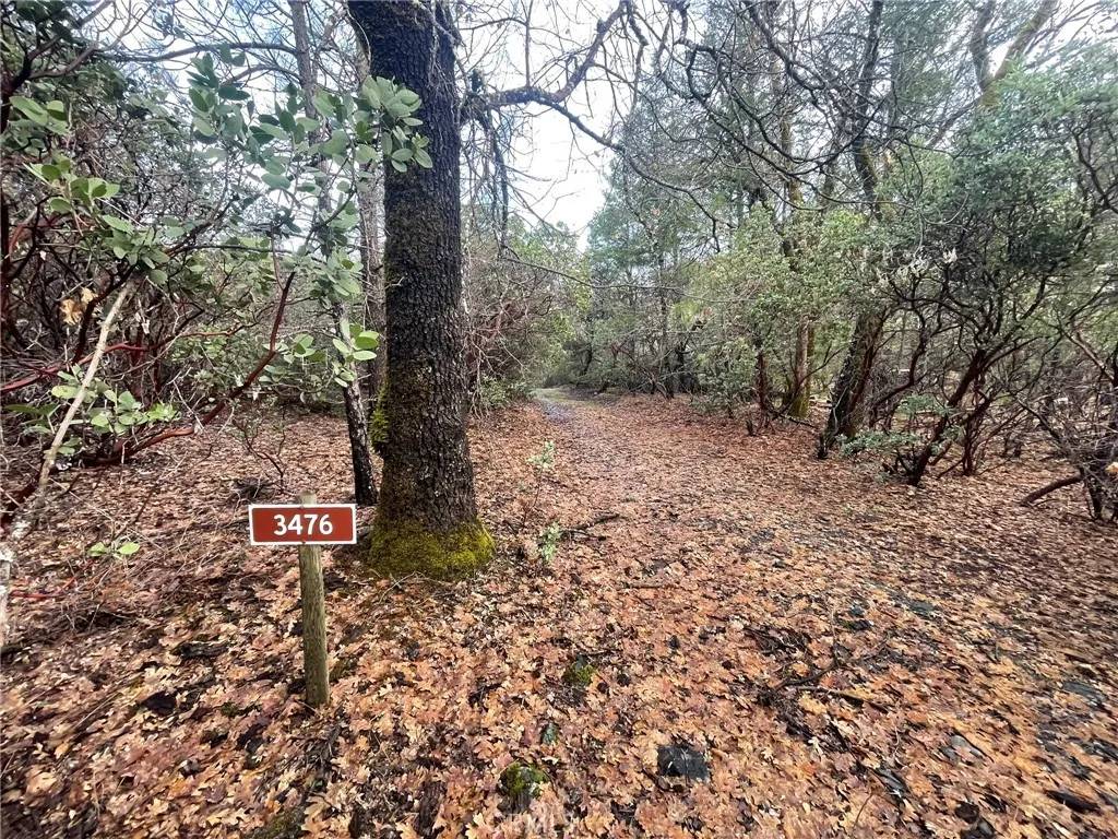 Upper Lake, CA 95469,3476 Upland