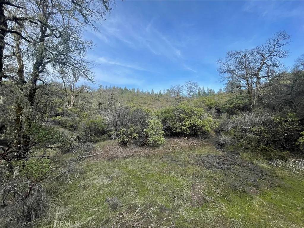 Upper Lake, CA 95469,3476 Upland