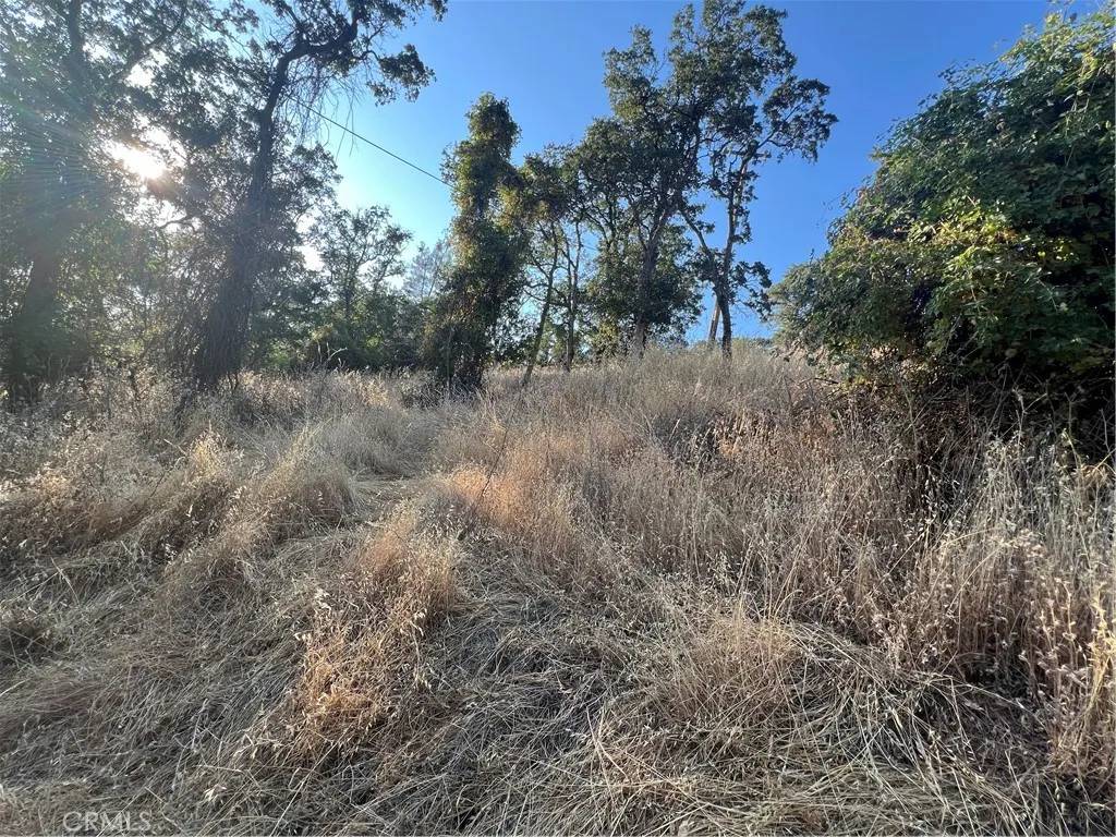 Clearlake, CA 95422,11030 Pioneer Dr