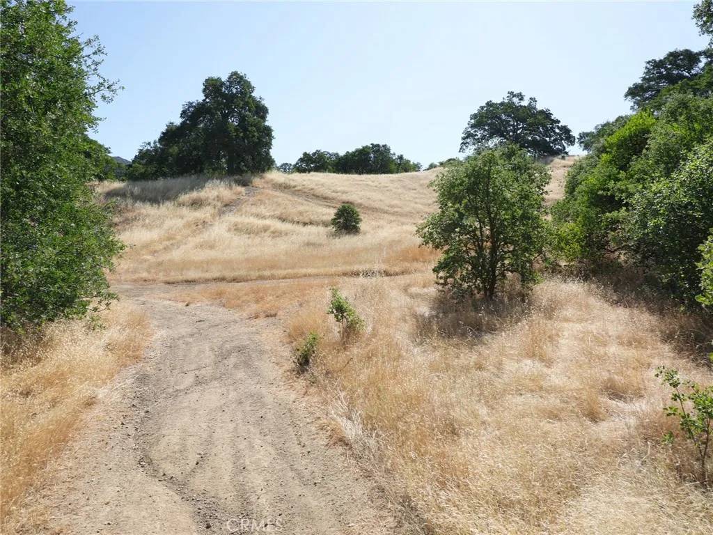 Nice, CA 95464,7295 Wilson