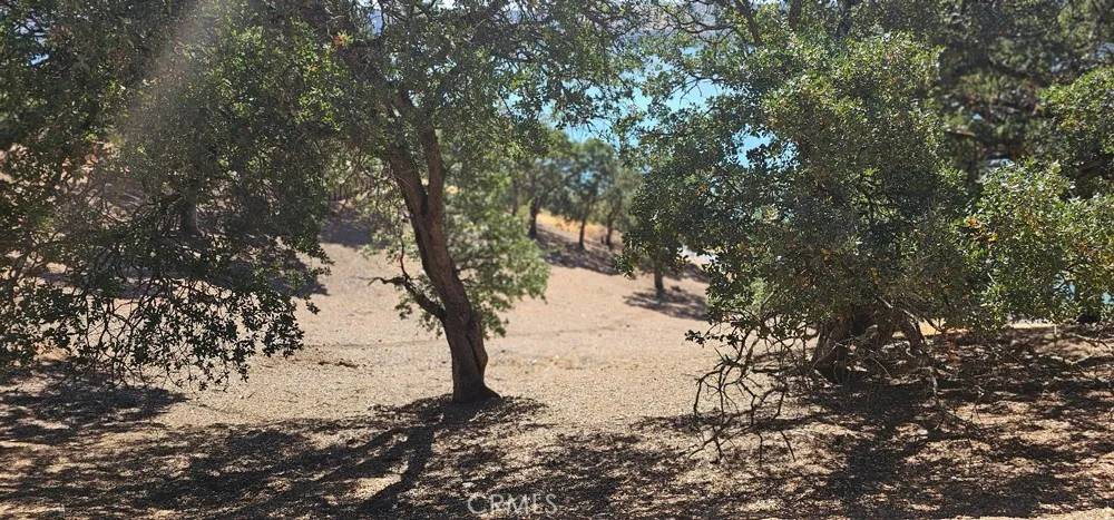 Clearlake Oaks, CA 95423,10981 Pingree
