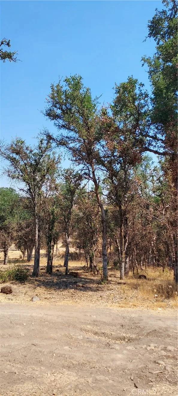 Clearlake, CA 95422,16034 13th
