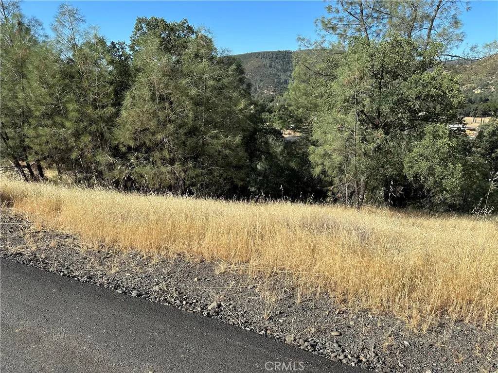 Clearlake Oaks, CA 95423,3265 Wolf Creek