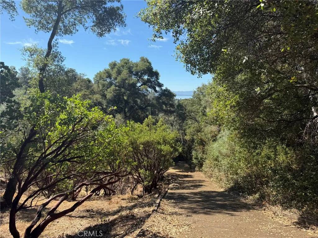 Nice, CA 95464,3293 Clay